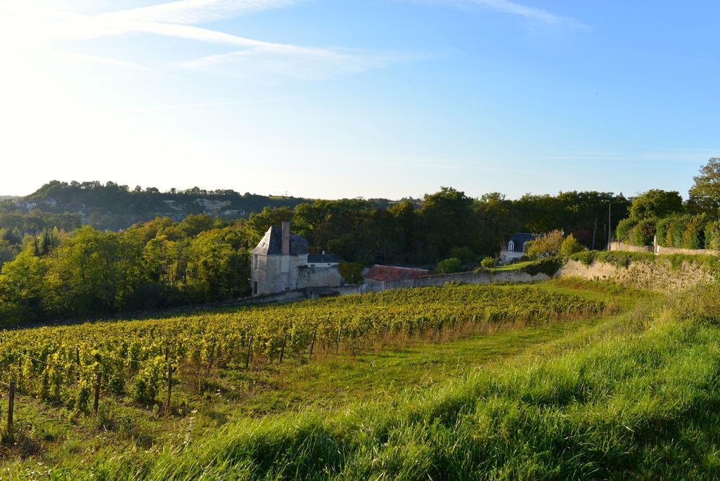 Gites Troglodytes Du Chateau De L'Etoile Vernou-sur-Brenne Pokój zdjęcie